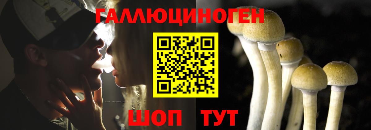 где купить   Галлюциногенные грибы мухоморы  Шахты  Вход с VPN  Псилоцибиновые грибы MAGIC MUSHROOMS 